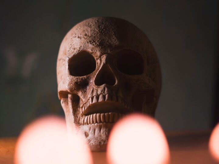 Identifikácia pohlavia vo forenznej stomatológii